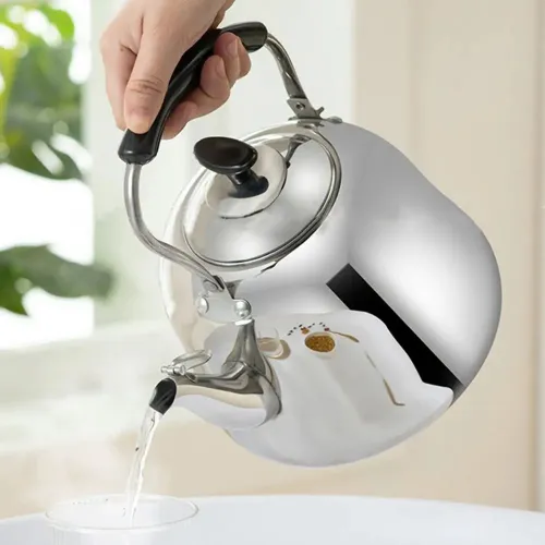 Bouilloire vintage en acier inoxydable